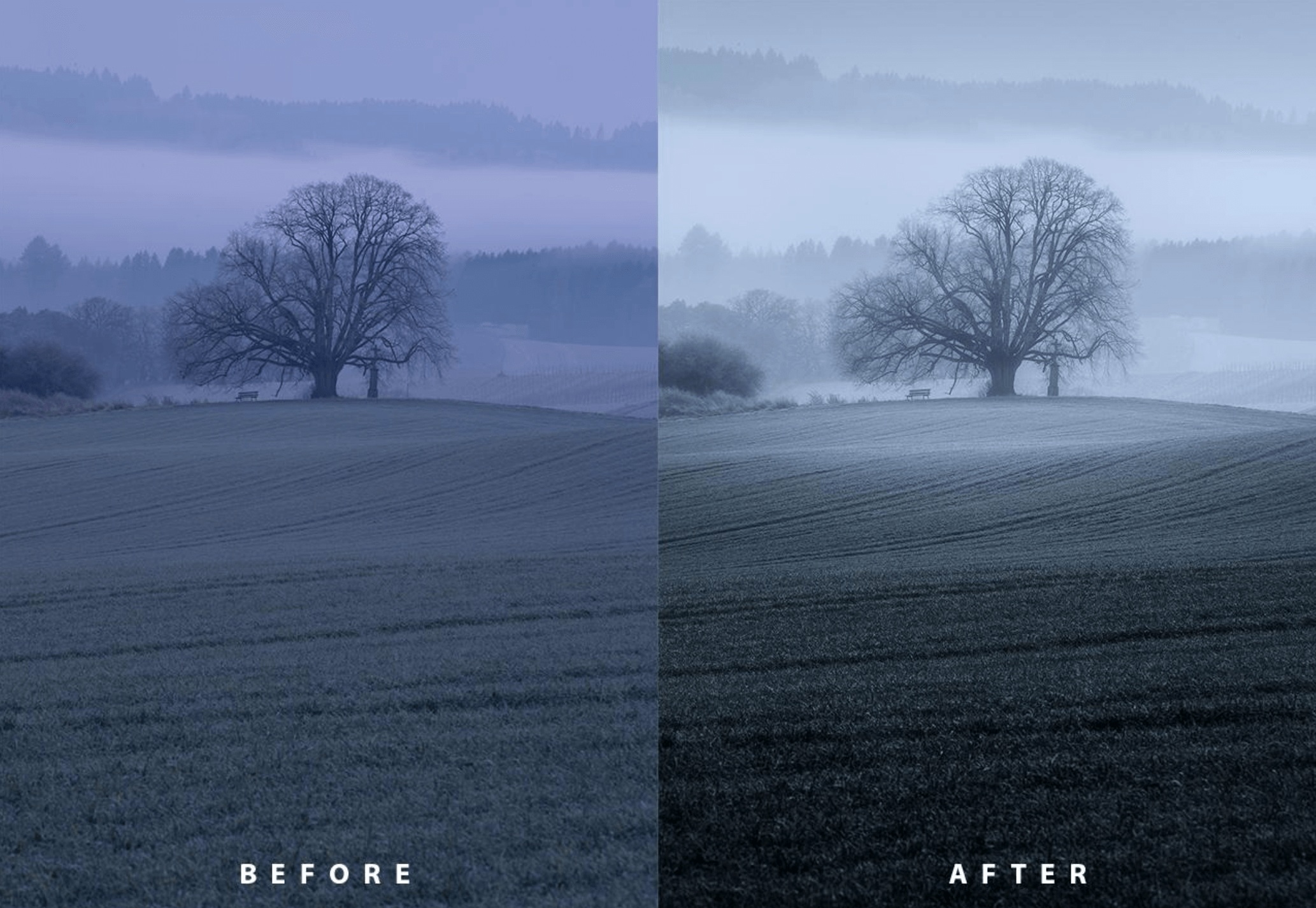 Winter photo edit 